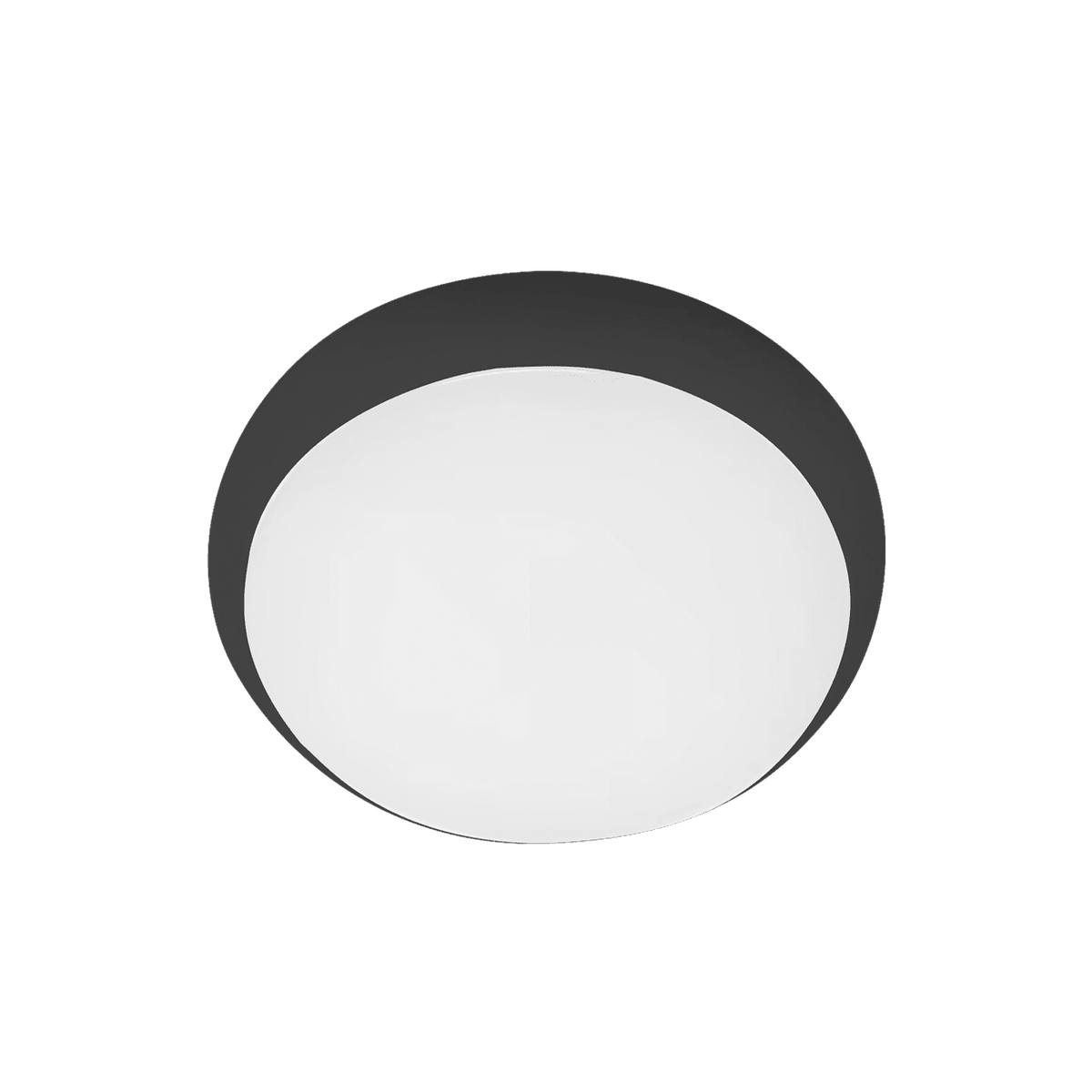 Black LED Bulkhead CCT IP65 — transparent background