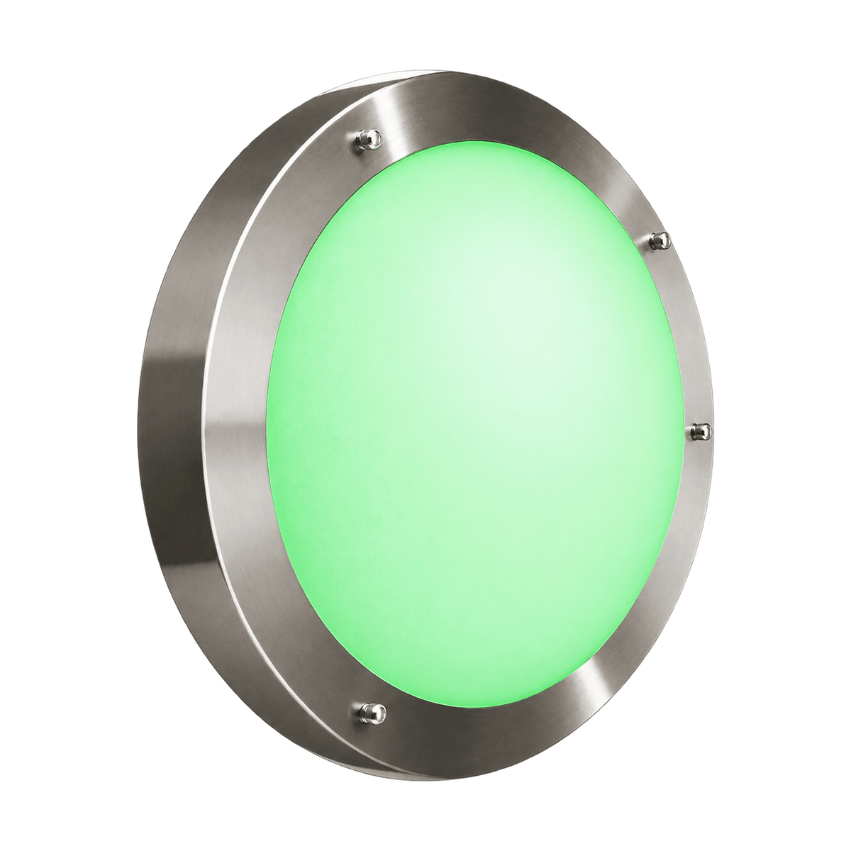 1.5W Stainless Steel Green IP54 LED Wall Light on white background