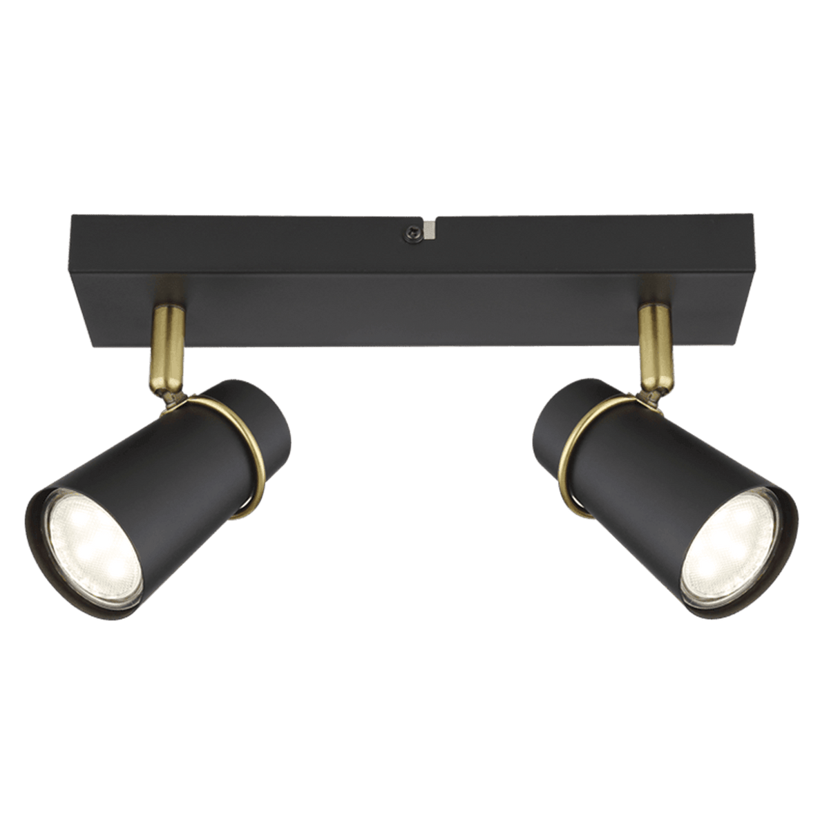 Barrington black and gold 2-light spot - transparent background