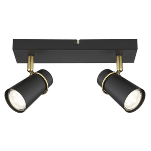 Barrington black and gold 2-light spot - transparent background