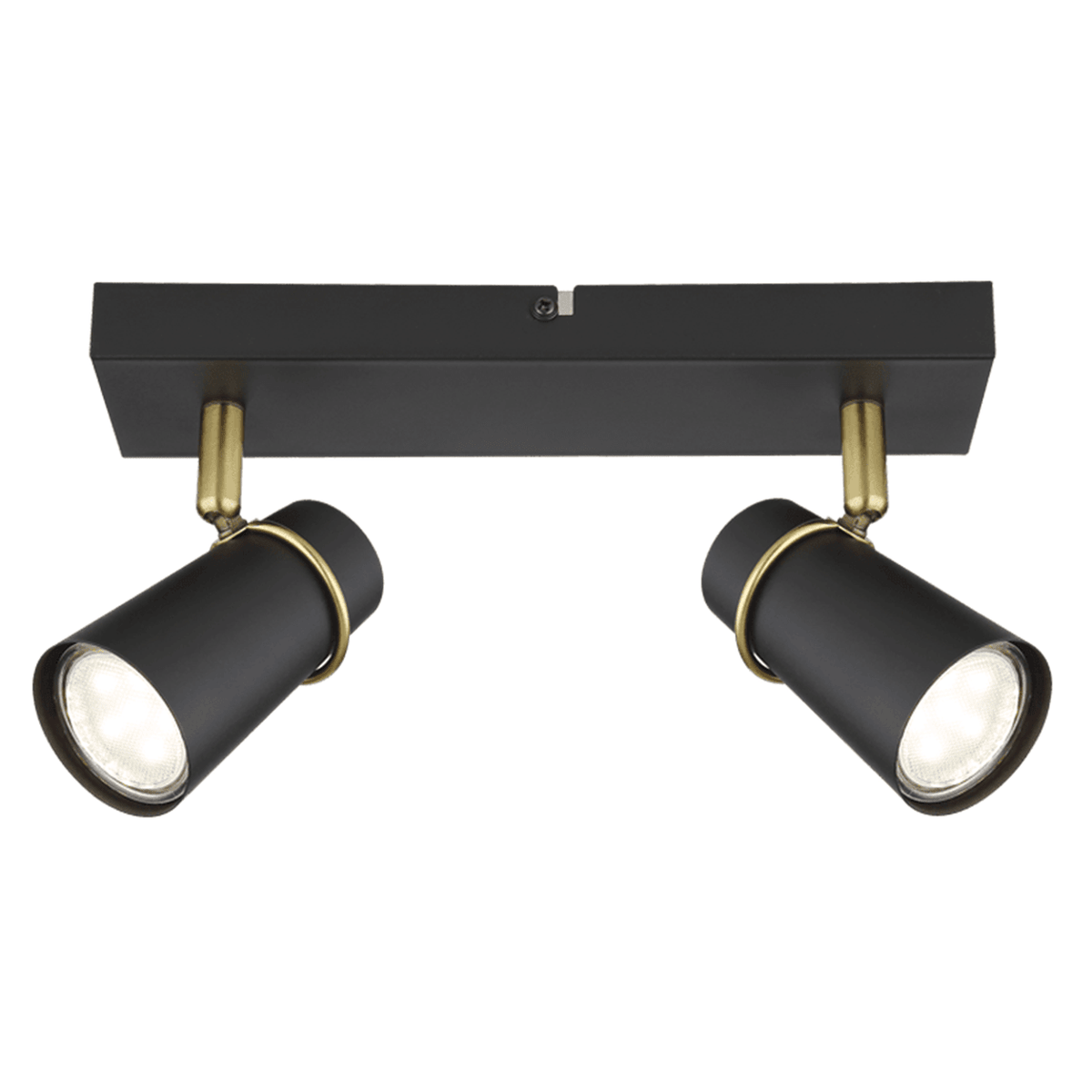 Barrington black and gold 2-light spot - white background