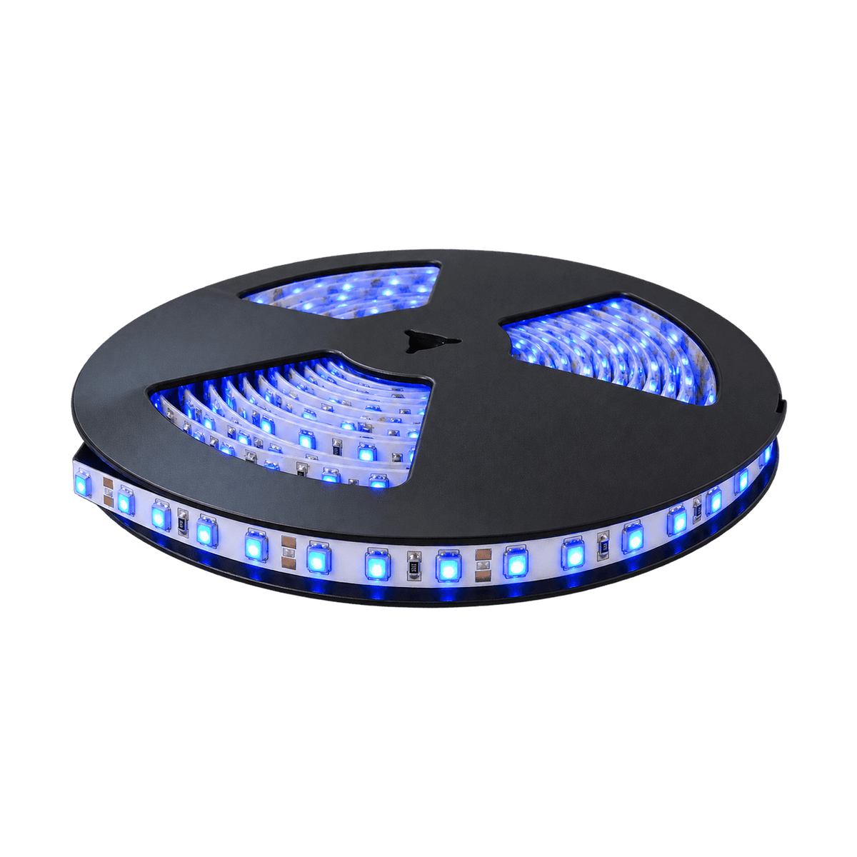 LED Striplight 12V - 3528 IP54 (5m) - Blue — transparent background