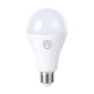 12W A60 LED Bulb - 6000K Daylight on a white background