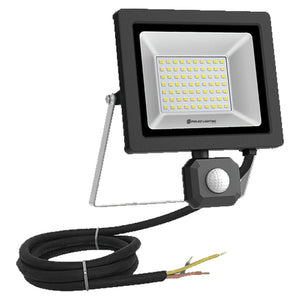 50W Nano Evo Sensor IP65 Floodlight - white background, 1254 x 1254