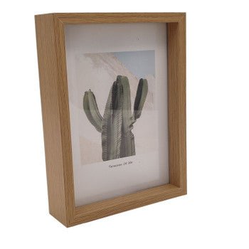 FH577A Small Floating Photoframe - Cactus Picture, Light Brown Frame