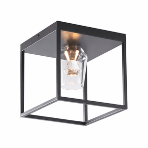 Modern ceiling light fixture with black frame and clear glass cover on a white background