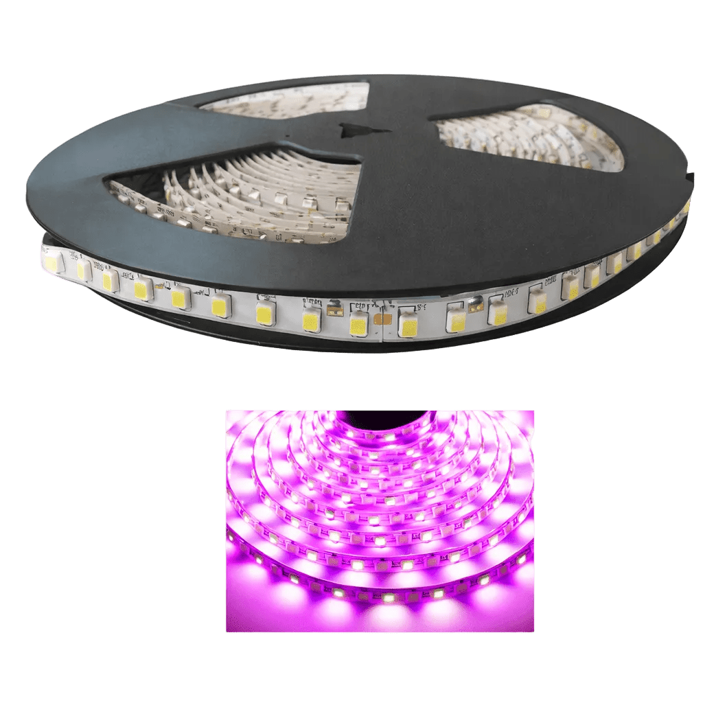 LED Striplight 12V - 3528 IP54 (5m) - Blue