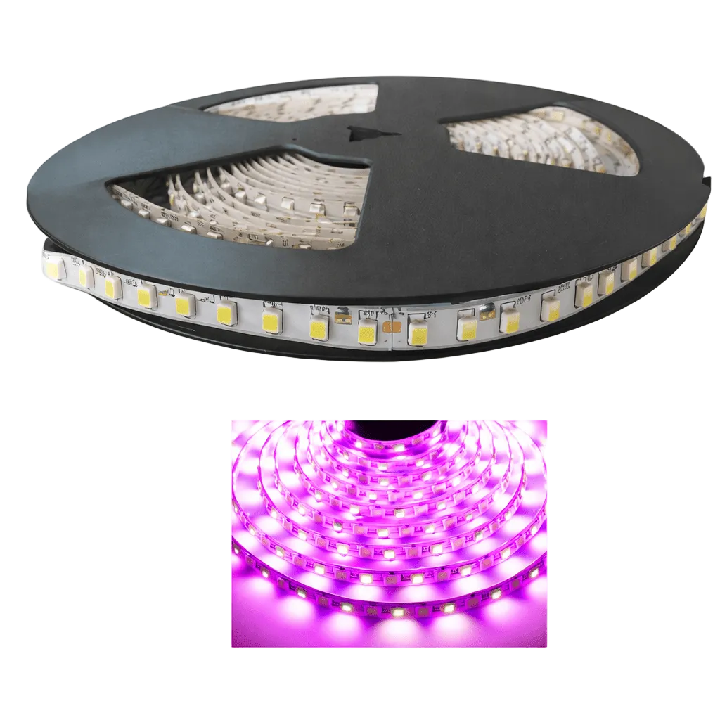 LED Striplight 12V - 3528 IP54 (5m) - Pink