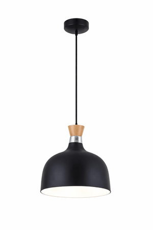 Black pendant light with wooden accent on a white background