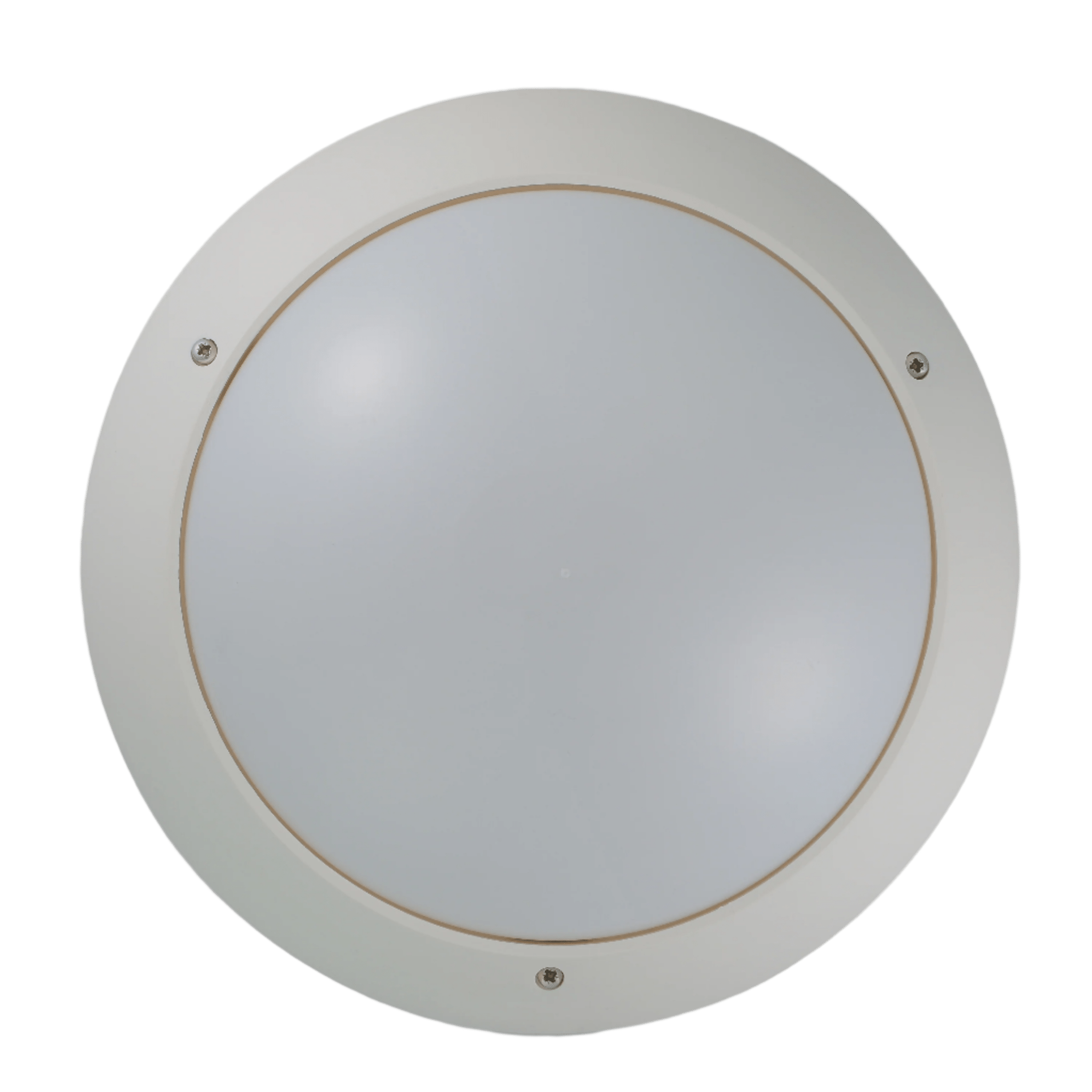 Prism Coastal - Alina Bulkhead