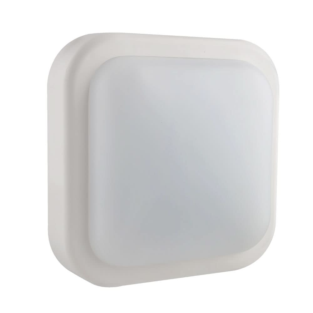 14W square LED bulkhead outdoor wall light in black with a sleek design and frosted lens.