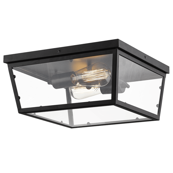 Outdoor & Bathroom Ceiling Light - Clear Glass