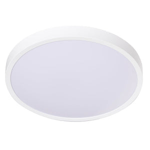 Round cct white ceiling light