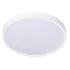 Round cct white ceiling light