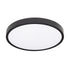 Premium Ceiling Light Black 3CCT 18W