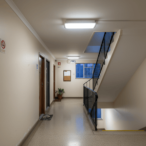 Ceiling-mounted LED emergency light illuminating a stairwell corridor with doors and a plant.