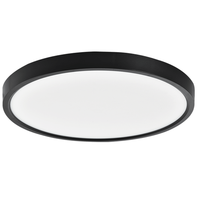 Round ceiling light fixture with black frame and white interior on a white background