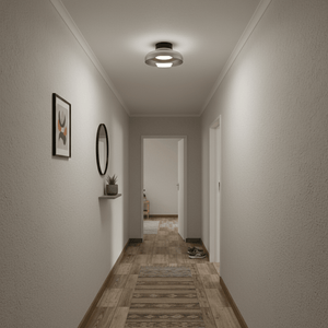 Smoke glass metal ceiling light illuminating a stylish hallway with wooden flooring and decorative elements.