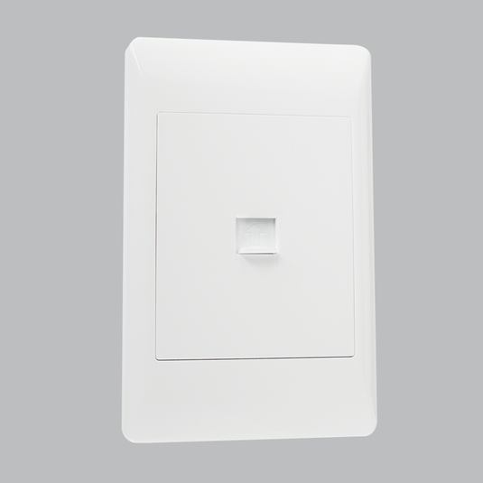 Data Point / Telephone Jack Socket - 2X4