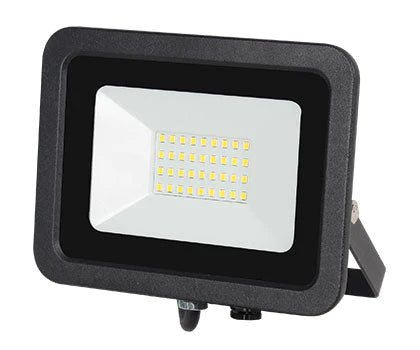 LED Flood Light - 30W RGBW with Remote - Future Light - LED Lights South Africa