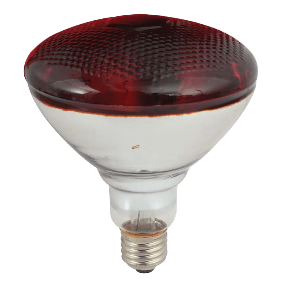 Red-tinted PAR38 infrared reflector bulb with E27 screw base, photographed against a green background.