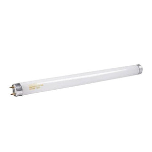 T8 LED tube light on a white background