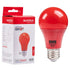 Red Eurolux LED light bulb with packaging on a white background