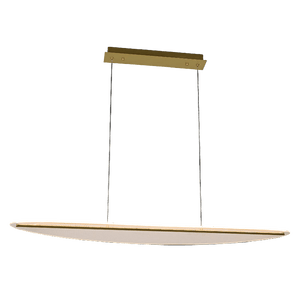 Modern pendant light with oval shade and rectangular canopy on a black background