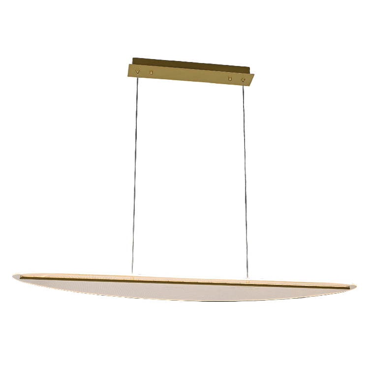 Modern pendant light with oval shade and rectangular canopy on a black background