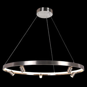 Niche Satin Nickel LED Pendant & Spot Light