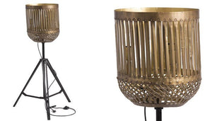 Ethereal Lumina 68Cmx59Cmx123Cm