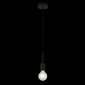 Black pendant light with a lit bulb on a white background