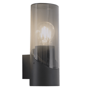 Black wall-mounted light fixture with smoke glass shade