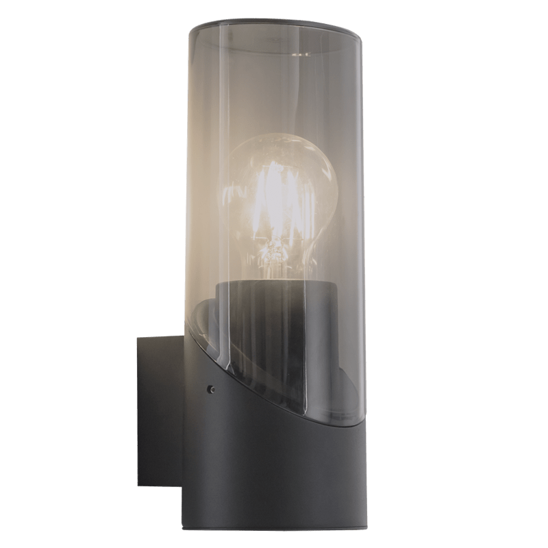 Black wall-mounted light fixture with smoke glass shade