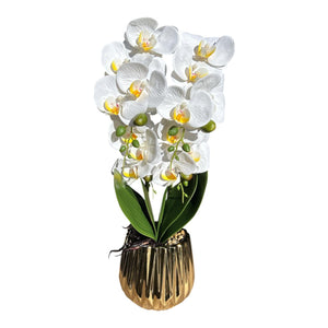 Artificial white Phalaenopsis orchid arrangement in metallic gold pot