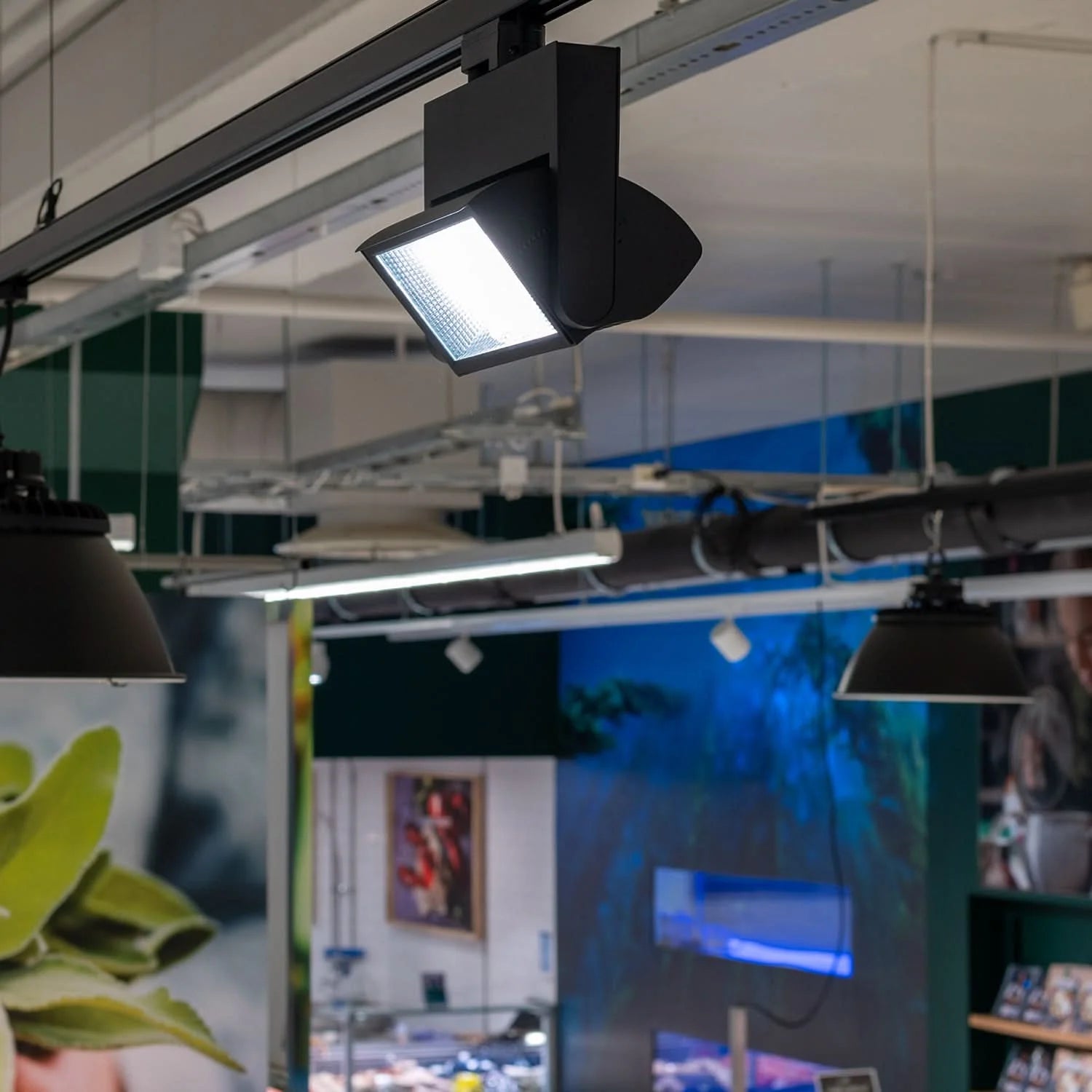 Close-up of a black 45W track light installed on a ceiling track, illuminating a retail space.