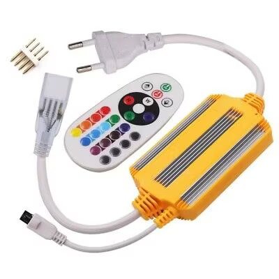 220V LED Strip Light - RGB Controller/Power Supply with Remote - Future Light - LED Lights South Africa