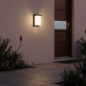 Lone Outdoor Wall Light mounted beside a wooden door, illuminating a patio area with plants.
