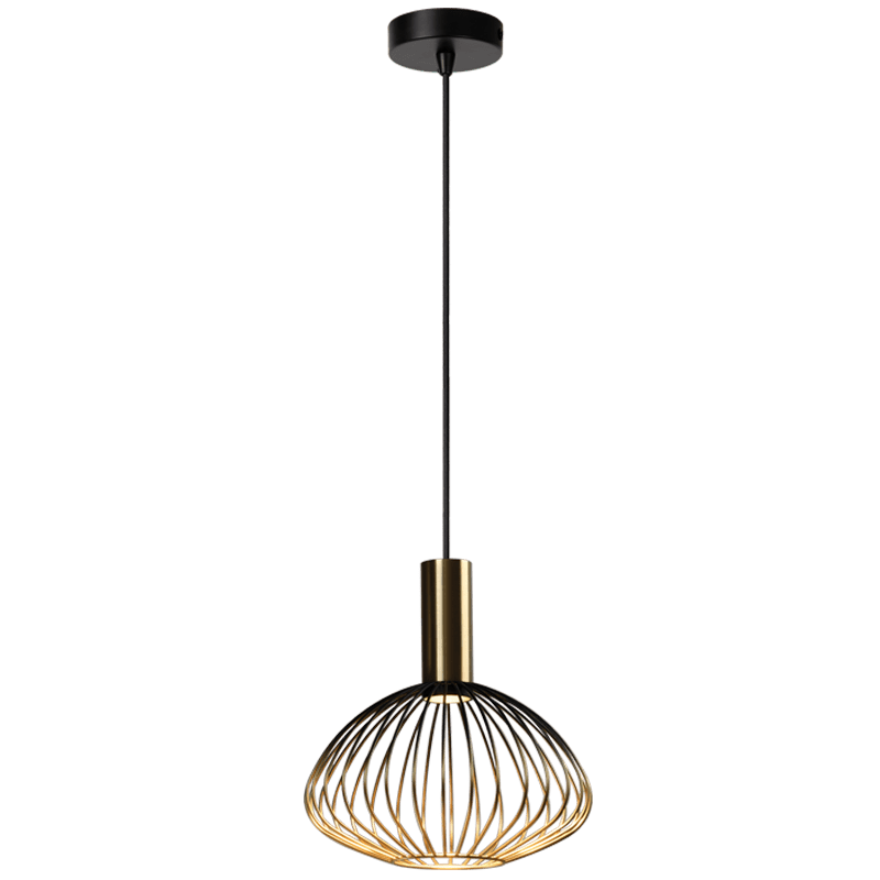 Gold & Black Pendant Light