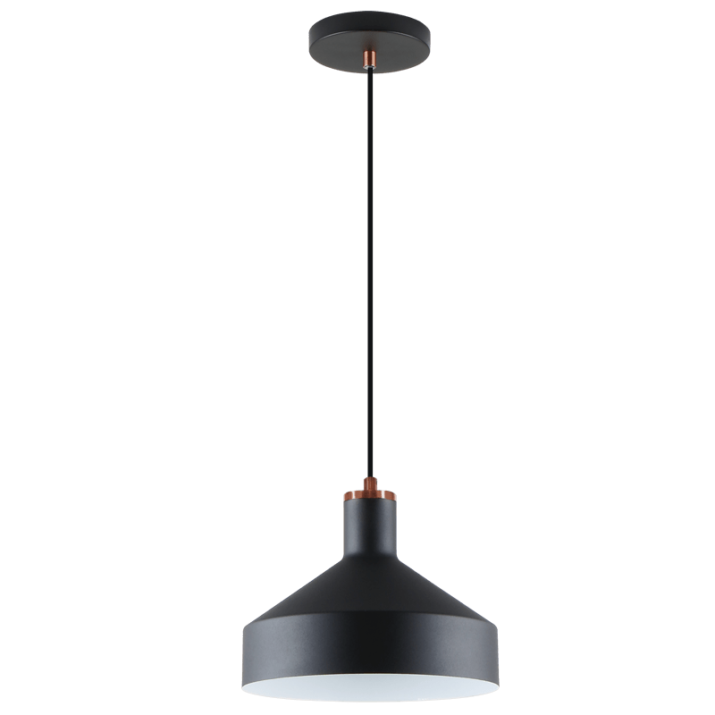 Shop vintage industrial pendant lights from Future Light South Africa