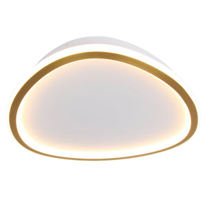Dundee Large LED Ceiling Light (Launch Special) - Future Light - LED Lights South Africa