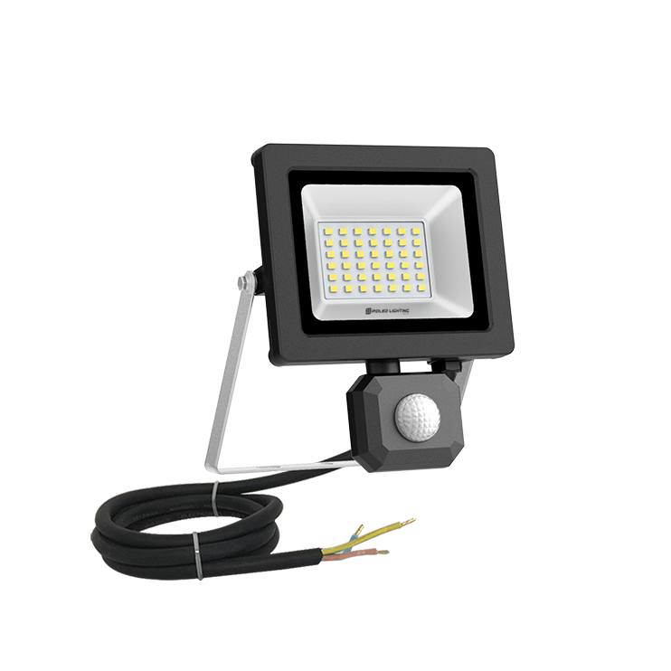 30W Nano Evo Sensor IP65 Floodlight official source image