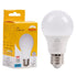 6W Daylight LED E27 Globe