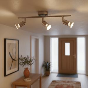 Three satin chrome ceiling spotlights on a bar, lit, in hallway with artwork, console table, vase, plant, door and rug