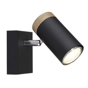 Barkly Ceiling or Wall Spot Light