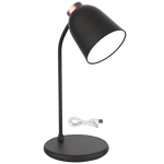 Black desk lamp with USB cable on a white background