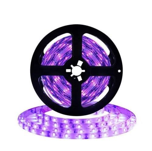 Violet Bio Led Ultra Violet LED Striplight 24V - Fun Glow for Events - Buy Online