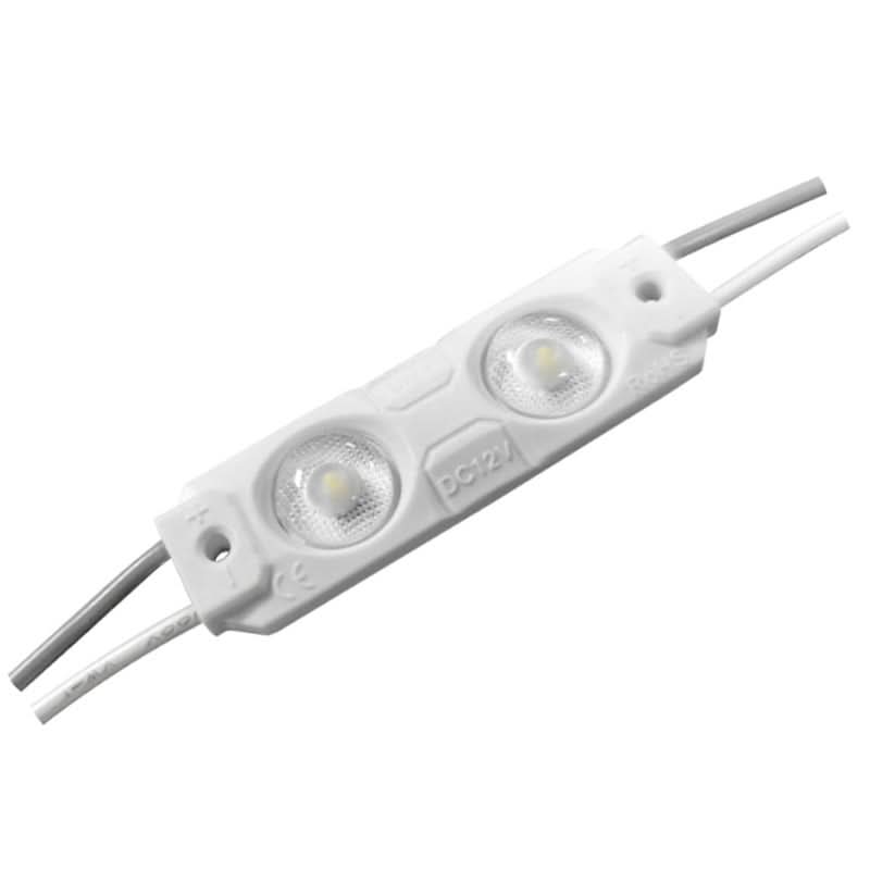 LED Module - 2 Chip | Bright Waterproof Backlighting Solution – Future ...