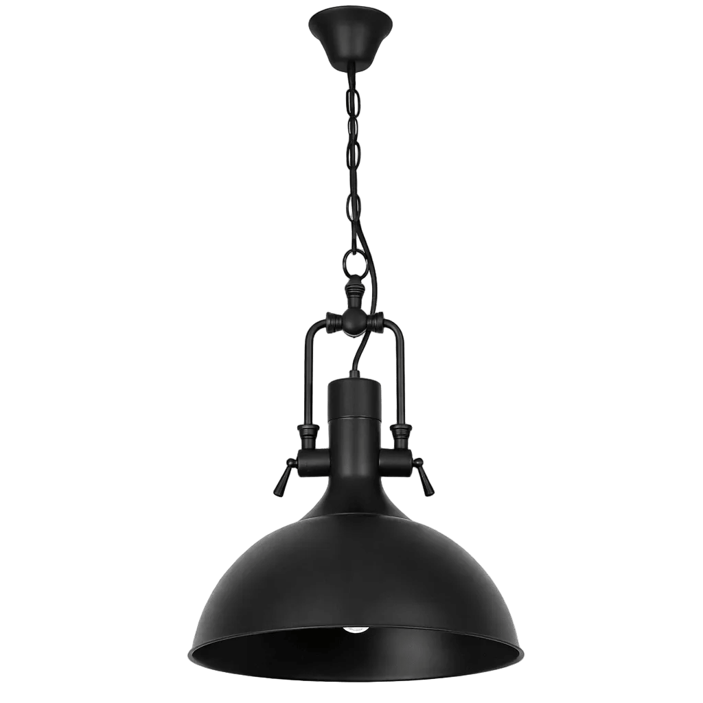 Maite Industrial Black Pendant Light