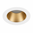 Citterio Adjustable Tilt Downlight - Matt Gold/ White